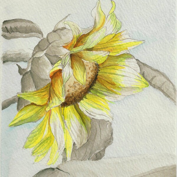 sunflower Original watercolor painting