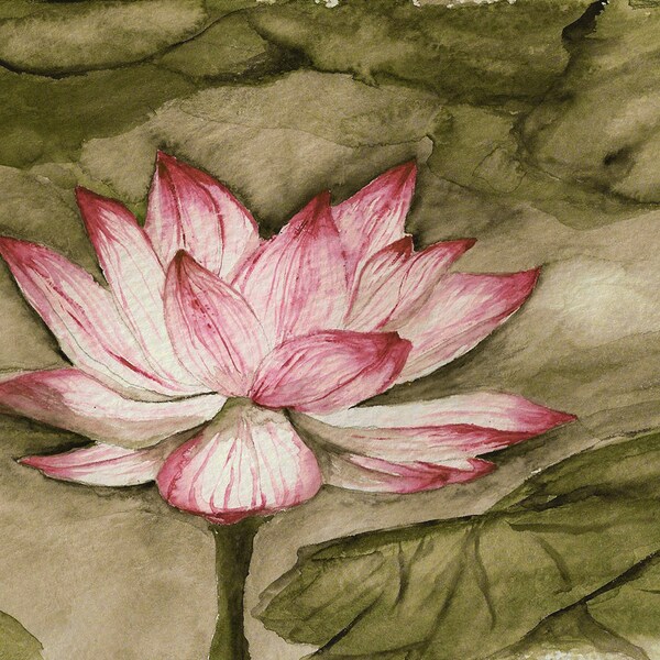 lotus Original watercolor painting