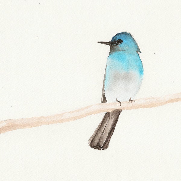 Pale Blue-Flycatcher Original watercolor painting