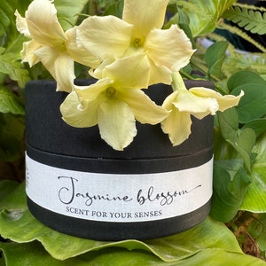 Jasmine Solid Perfume. A natural premium, vegan Perfume Balm. Alcohol free. A Luxury Zero Waste, Plastic Free Gift. image 2