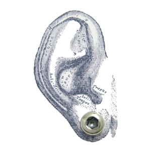 Puede incluir: Primer plano de una oreja humana con etiquetas anatómicas. Un pendiente de plata de rosca está en el lóbulo de la oreja.