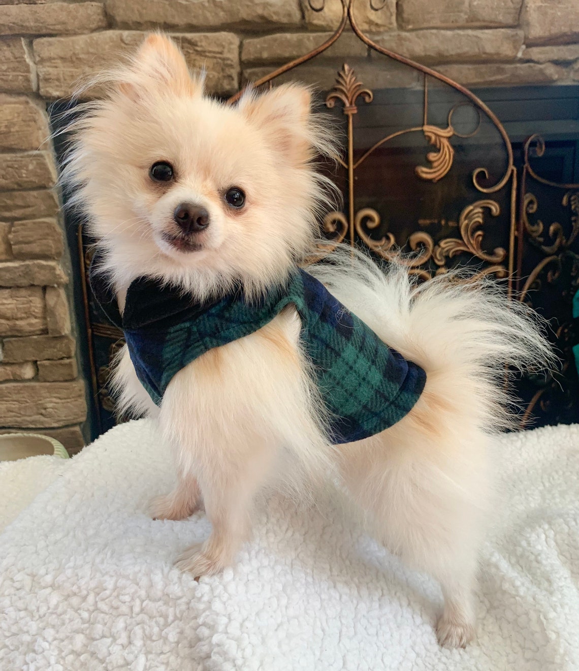 Custom Dog Sweater Christmas Green Tartan Plaid Holiday Etsy