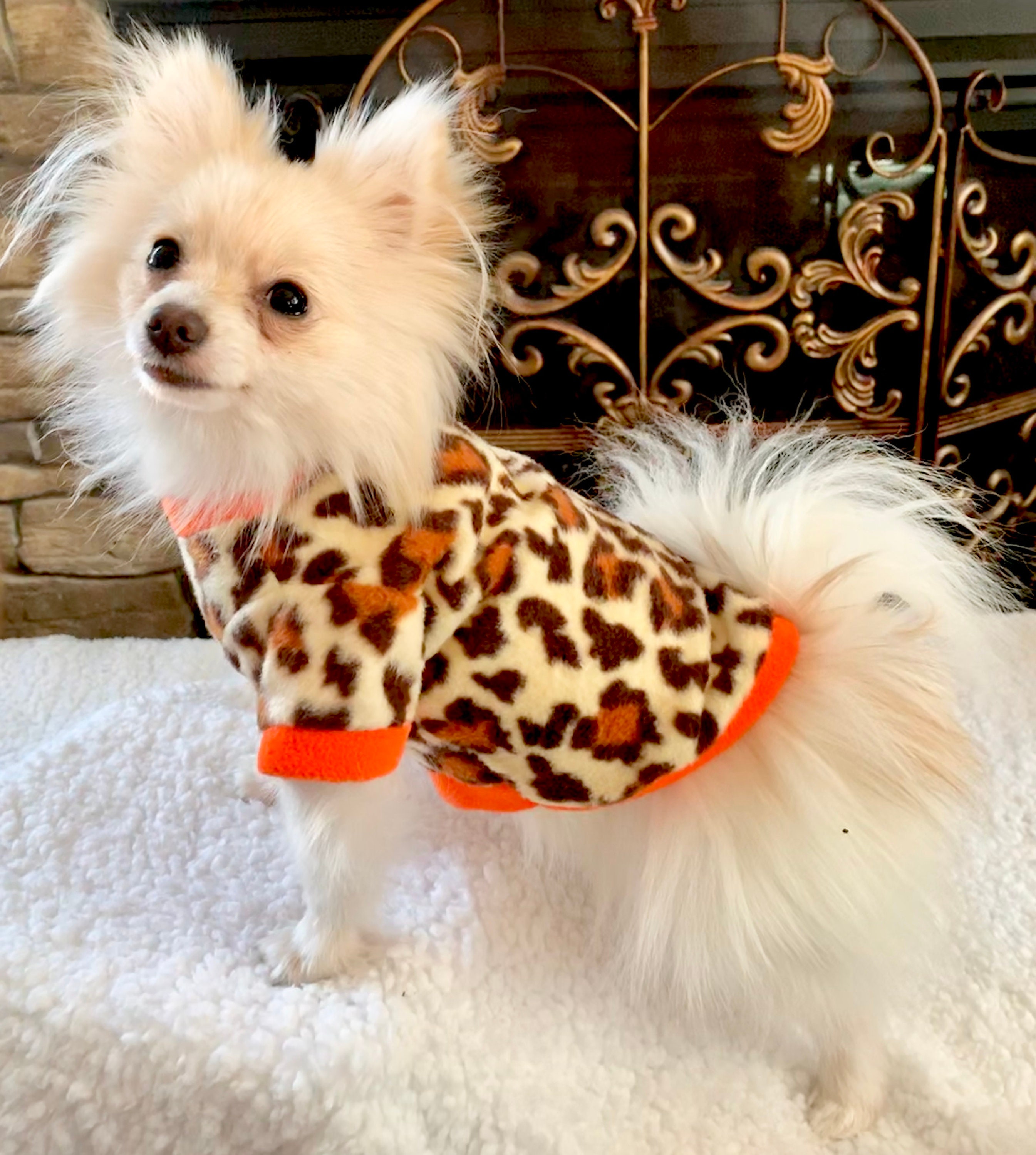 monogram dog sweater