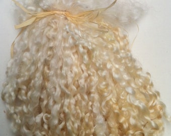 1 oz Undyed Teeswater Locks: Lustrous Fibre for Spinning & Doll Hair