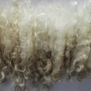 1oz Raw (Unwashed) Curly Mohair