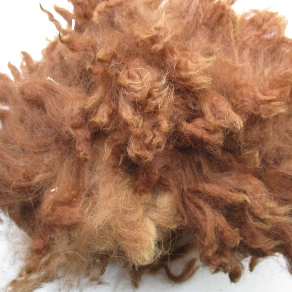 Raw Unwashed Alpaca Brown Fleece for Craft, Spinning and Stuffing