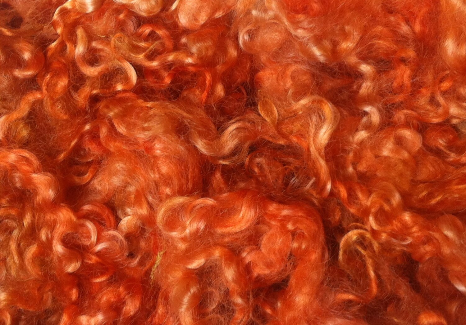 Teeswater Loose Fleece in Burnt Orange for Spinning and Crafts 50g 