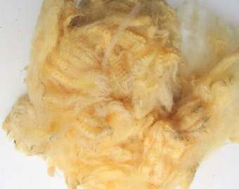 Texal (Unwashed) Fleece  for Spinning and Crafts 200g