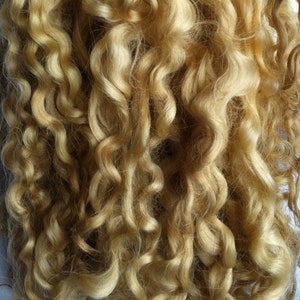 Teeswater Locks Medium Blonde for Doll Making 1 oz 28.4g image 2