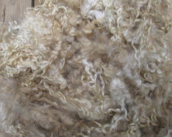 Raw Unwashed Teeswater Loose Fibre  Undyed  for Spinning and Crafts 200g (7 oz)