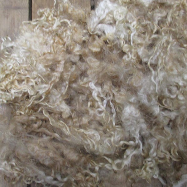 Raw Unwashed Teeswater Loose Fibre Undyed for Spinning and Crafts 200g (7 oz)