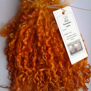 1 oz Teeswater Locks Burnt Orange  for Doll Making 1 oz