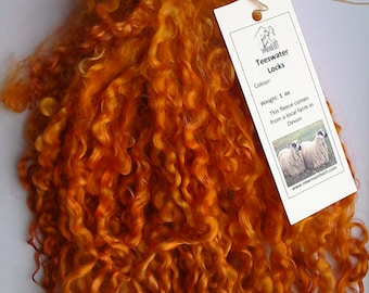 Op de afbeelding: Een bundel oranje gekrulde vlieswol, met een gewicht van 1 ounce. De wol is afkomstig van een lokale boerderij in Devon. Het label vermeldt "Teeswater Locks".