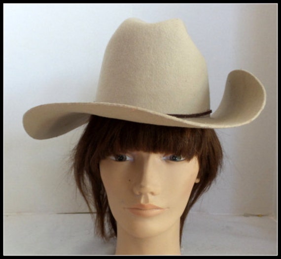 Vintage Stetson Western Hat - image 1