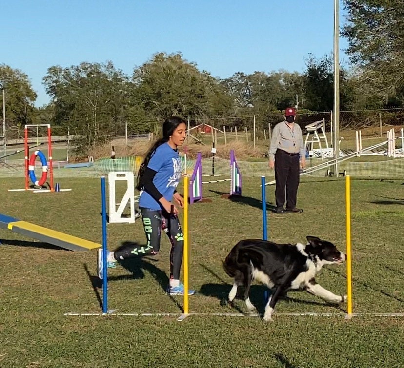 Dog Agility Leggings for Kids Junior Handler Dog Agility Etsy Singapore
