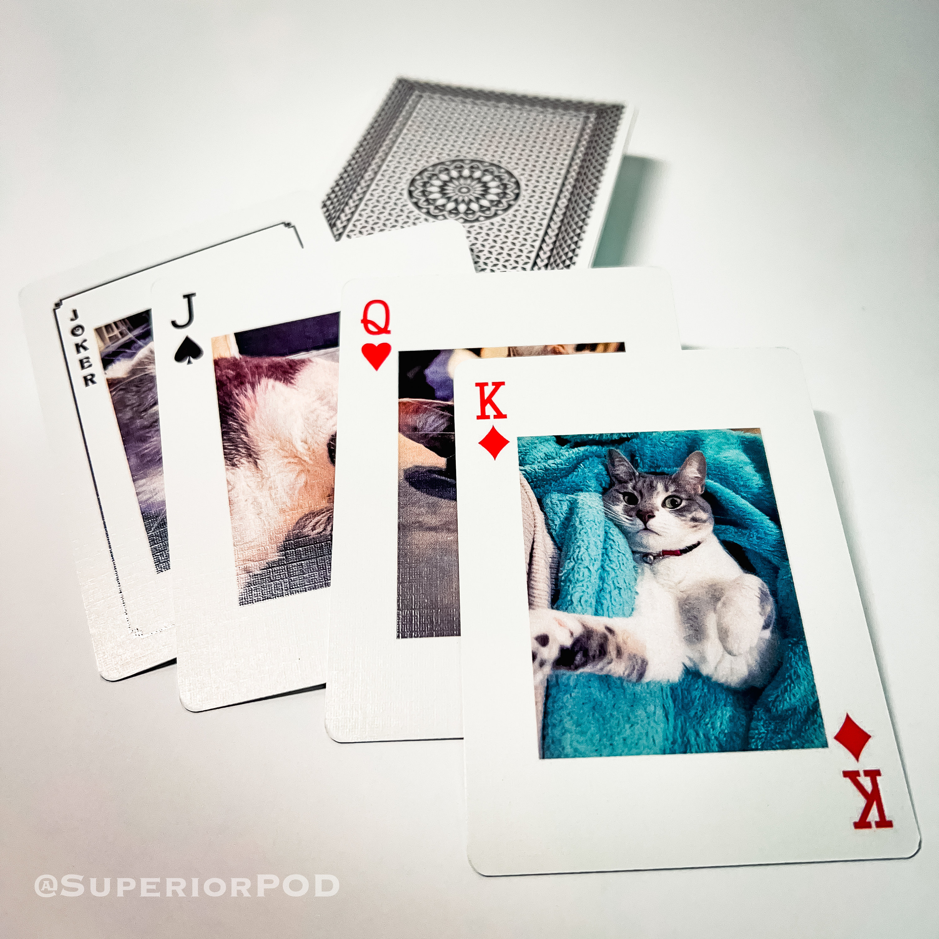 EDLAND MAN／FOCUS PHOTO PLAYING CARDSトランプ