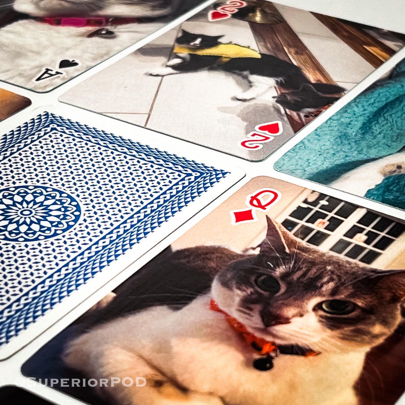 May include: A close-up of a playing card with a blue and white pattern on the back. The card is a Queen of Diamonds. The card is lying on top of a photo of a gray and white cat with a red collar.