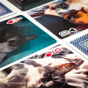 May include: Playing cards with a cat design. The cards feature a close-up of a cat's face on a blue background. The card suits are visible in the image.