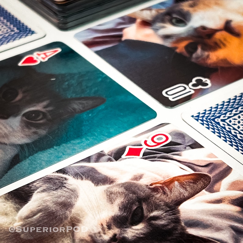 May include: Playing cards with a cat design. The cards feature a close-up of a cat's face on a blue background. The card suits are visible in the image.