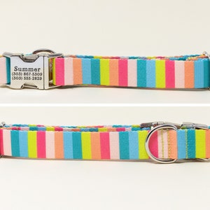 Collare per cani personalizzato Poolside Stripe, rosa shocking, verde lime, turchese, senza etichetta! Nome e numero di telefono incisi sulla fibbia in metallo.
