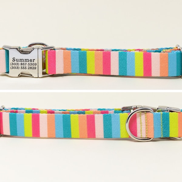 Poolside Stripe Personalized Dog Collar, Hot pink, lime green, turquoise stripe, Go Tagless! Engraved Name & Phone Number on Metal Buckle