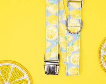 Mint Lemons Dog Collar with metal buckle, Male or Female dog collar, Summer Dog Collar, Fruit Dog Collar