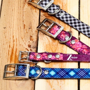 Waterproof Dog Collar, The TITAN Dog Collar, Dirtproof, Stinkproof: Pin Buckle Dog Collar, Webbing, Female, Male, Water Dog Collar
