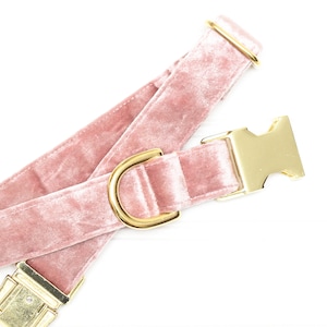 LUXE Velvet Dog Collar, Blush Light Pink Crushed Velvet, Luxury, Metal Hardware, Metallic Gold, Female Dog Collar, Girl, Valentines Day