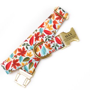 May include: A white dog collar with a gold buckle and a fall leaf pattern. The buckle has the name "MAX" engraved on it, along with an address and phone number.