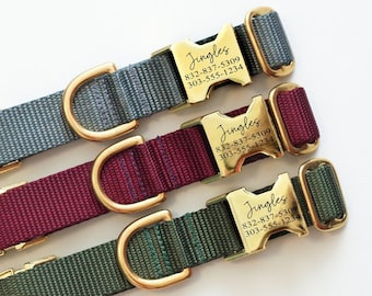 Personalized Engraved Dog Collar: Tagless All Webbing, The Endurance Collection