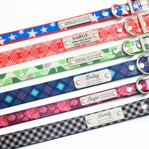ADD-ON for TITAN Dog Collars - Personalized Dog Collar, Go Tagless! Add Engraved Name & Phone Number to Metal Plate