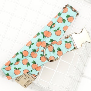 Peaches Dog Collar with metal buckle for male or female dog. Great Summer pet collar with mint polka dot background and tossed peach fruit