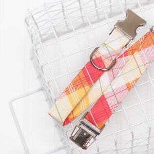 Summer Plaid Dog Collar with metal buckle for female or male dog. Great Summer pet collar