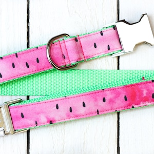 Watermelon Dog Collar on lime green webbing, Hot Pink Watercolor, Female Dog Collar, Summer Dog Collar, Pet Collar, metal hardware
