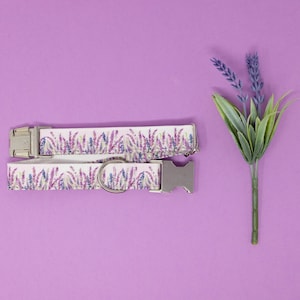 Lavender Fields - Dog Collar, Fabric Dog Collar, Zaley Designs, Spring Dog Collar, Female Dog Collar, Girl, Boy, Lavender, Floral, Purple