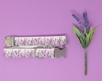 Lavender Fields - Dog Collar, Fabric Dog Collar, Zaley Designs, Spring Dog Collar, Female Dog Collar, Girl, Boy, Lavender, Floral, Purple