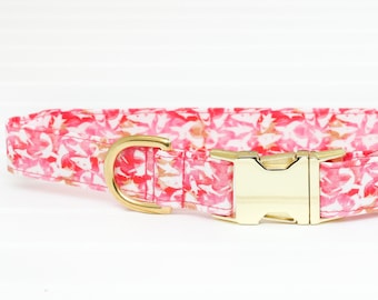 Pink Shark Dog Collar: Hot Pink Fabric with Gold Hardware