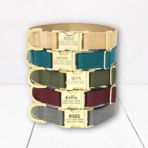 Gold Buckle, Laser Engraved Personalized Dog Collar, Go Tagless!, Traditional Dog Collar, New Dog Gift, The Endurance Collection, Black Text