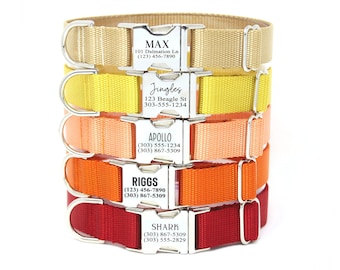 Puede incluir: Cinco collares para perros de diferentes colores, apilados uno encima del otro. Los collares están hechos de cinta de nylon y tienen una hebilla de metal plateado. Cada hebilla tiene una etiqueta personalizada con el nombre del perro y la información de contacto.