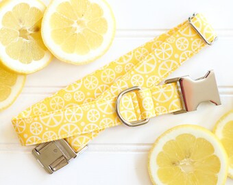 Summer Dog Collar, Lemon Dog Collar, Yellow, Lemonade Dog Collar, Female, Male, Pet Collar with Metal Buckle, Puppy