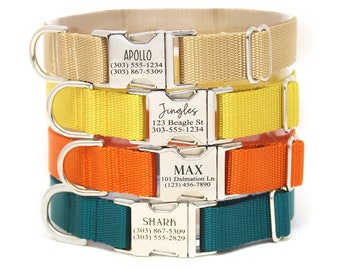 Puede incluir: Cuatro collares para perros con etiquetas plateadas personalizadas. Los collares son beige, amarillo, naranja y verde azulado. Las etiquetas incluyen los nombres Apollo, Jingles, Max y Shark, junto con números de teléfono.