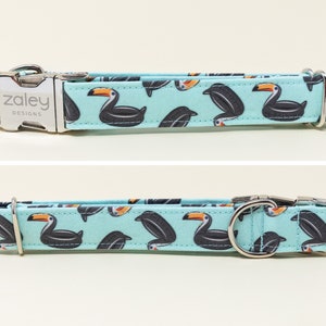 May include: A turquoise blue dog collar with a silver buckle and a repeating pattern of toucans. The buckle has the text "zaley designs" on it.