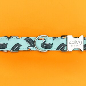 May include: A light blue dog collar with a toucan print and a silver buckle that says "zaley designs".