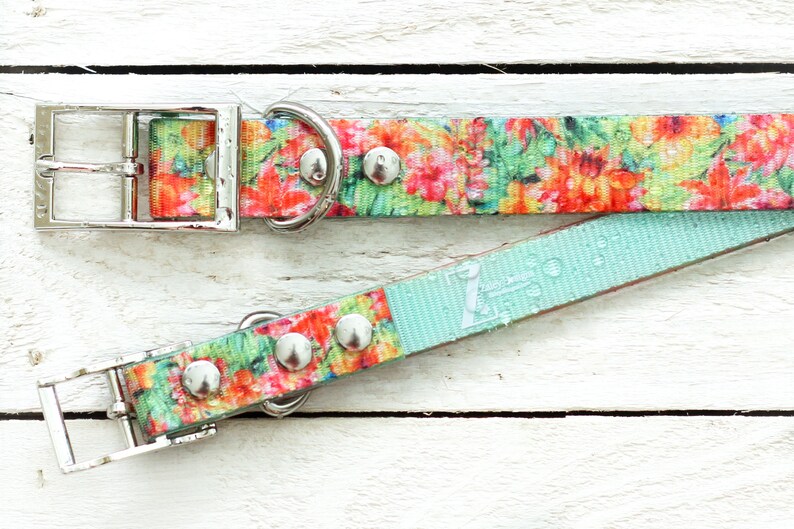 Stink proof /& ready for any kind of dog! Dirt proof The TITAN Collar by Zaley Designs that is totally Stain Proof Waterproof Dog Collar