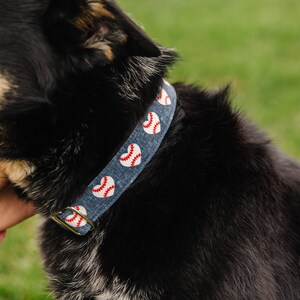 Puede incluir: Un perro negro y marr&oacute;n con un collar azul y blanco con dise&ntilde;os de corazones de b&eacute;isbol.