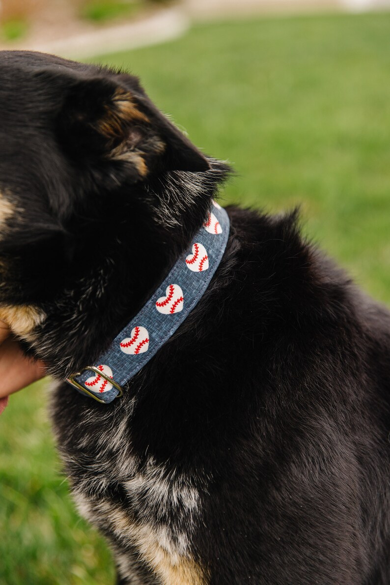 Puede incluir: Un perro negro y marr&oacute;n con un collar azul y blanco con dise&ntilde;os de corazones de b&eacute;isbol.