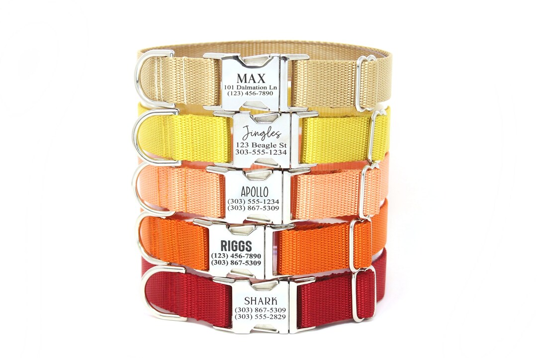 Durable Personalized Dog Collar, Tough Dog Collar, Engraved Name, 12