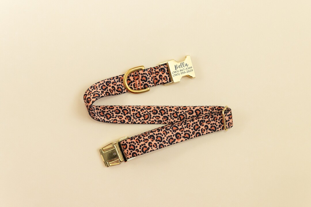 Collier Pour Chien Personnalisé - Prénom + Téléphone - Style