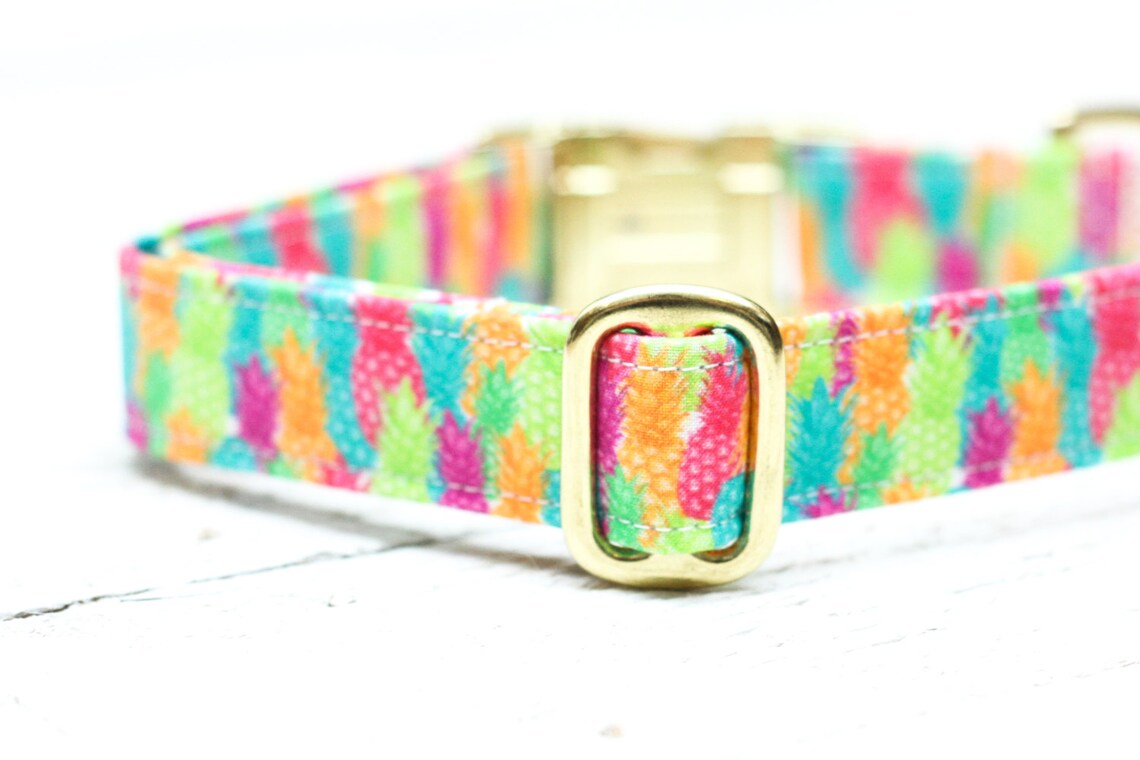Pineapple Dog Collar Tropical Dog Collar Female Dog Collar Etsy