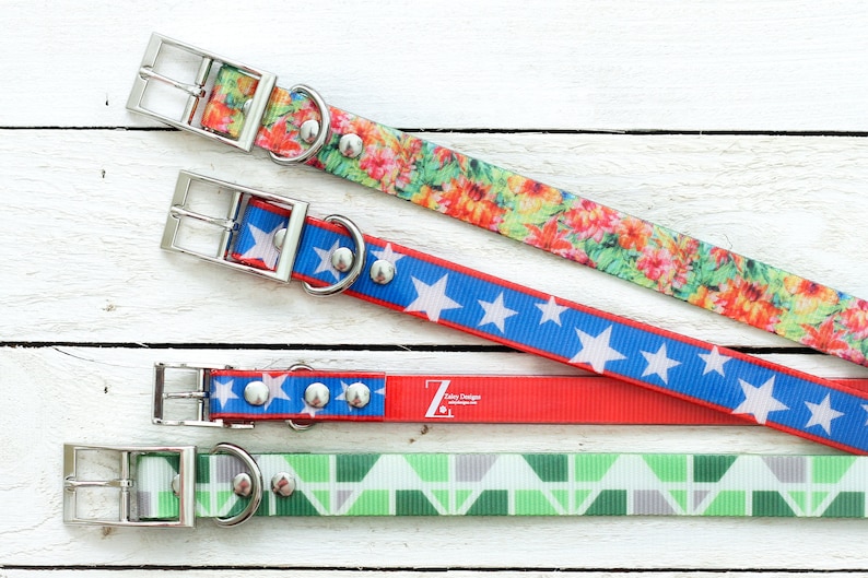 Stink proof /& ready for any kind of dog! Dirt proof The TITAN Collar by Zaley Designs that is totally Stain Proof Waterproof Dog Collar